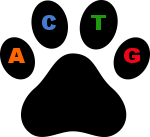 cgmisc logo